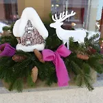 酒店 Alpenrose 3*